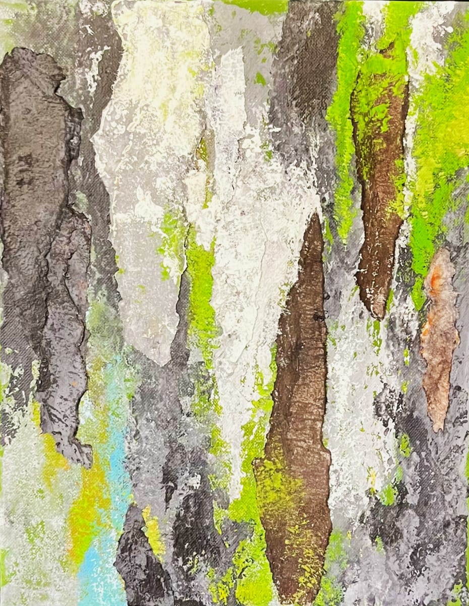 FOREST SEEN(s) by Keith Achepohl, Image 1.