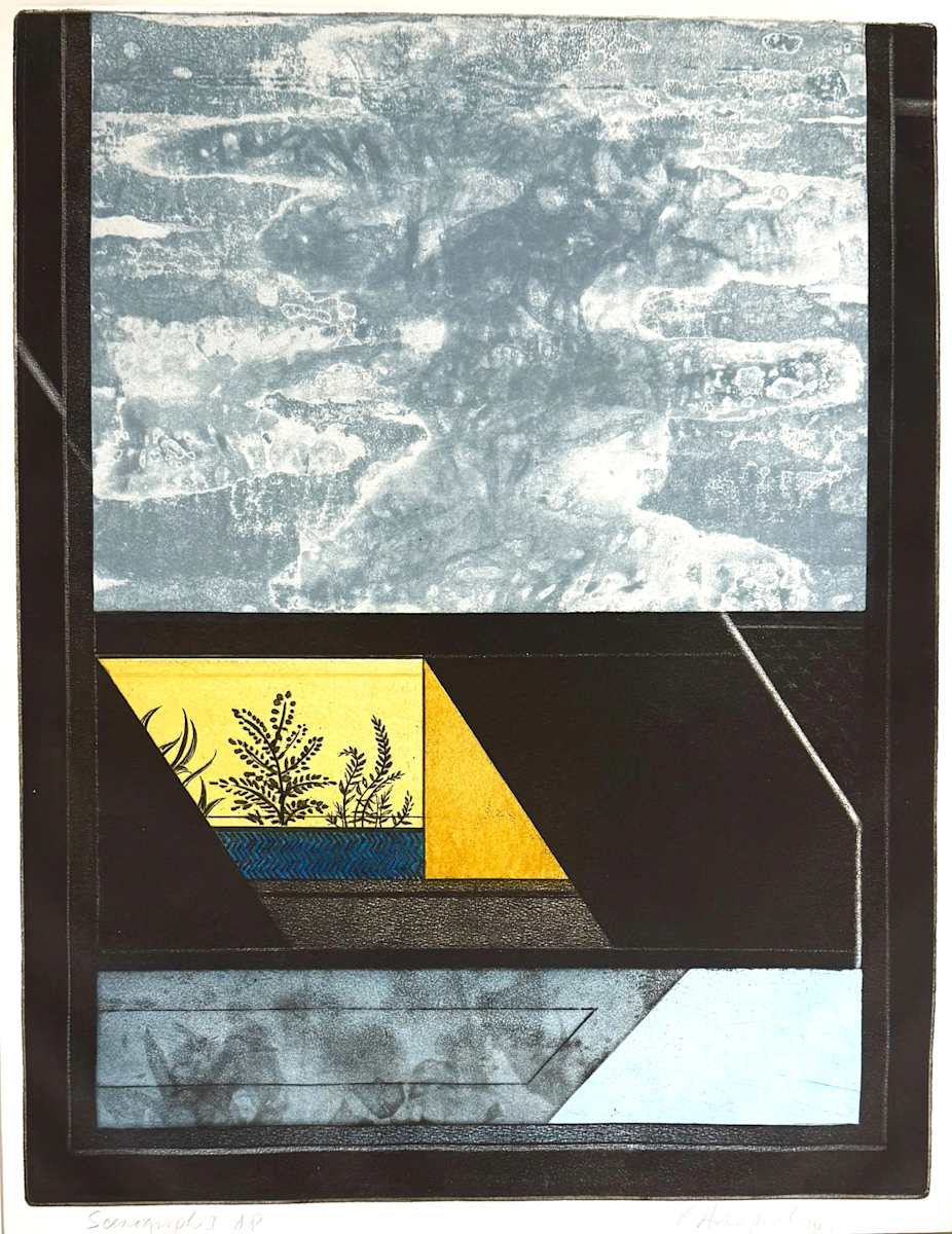 SCENOGRAPH 1 by Keith Achepohl, Image 2.