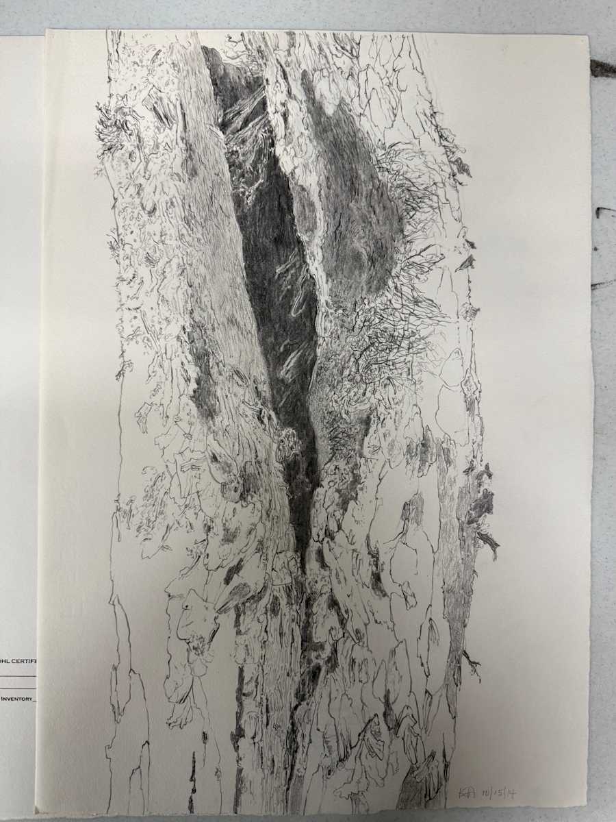 TREE MAPS by Keith Achepohl, Image 1.