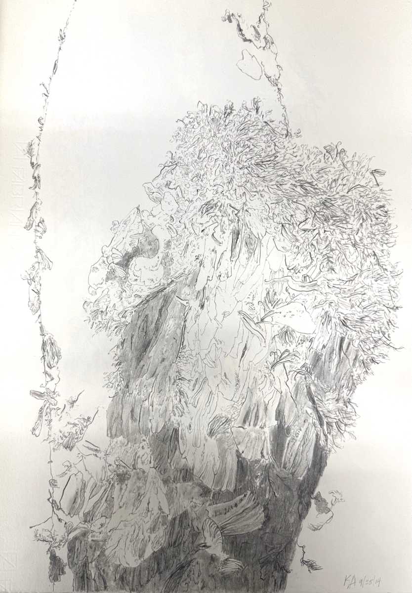 TREE MAPS by Keith Achepohl, Image 1.