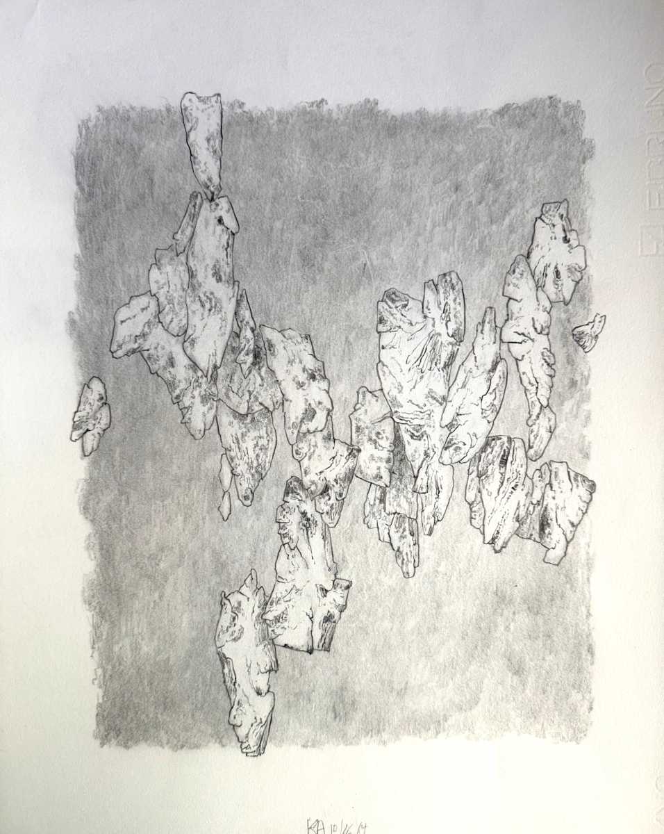 TREE MAPS #38 by Keith Achepohl, Image 1.