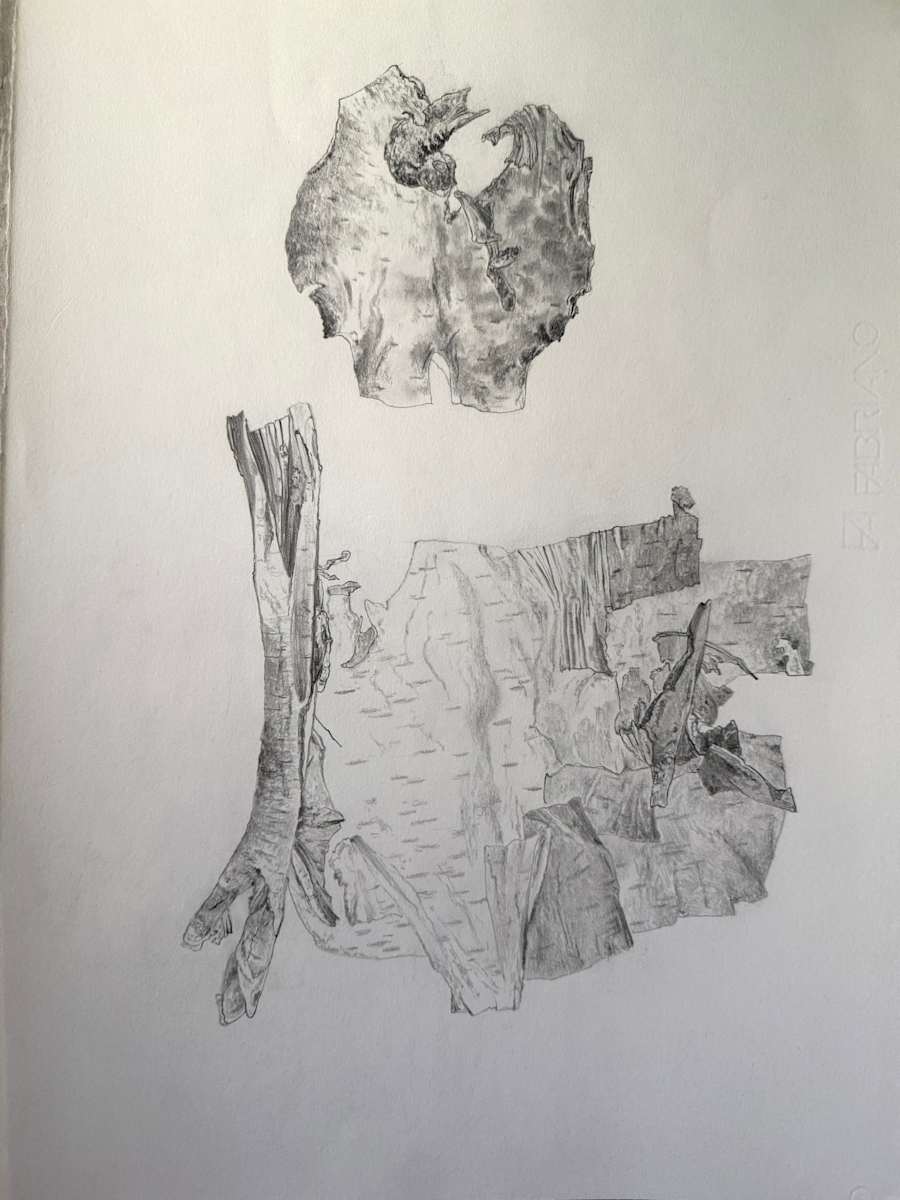 TREE MAPS #47 by Keith Achepohl, Image 1.