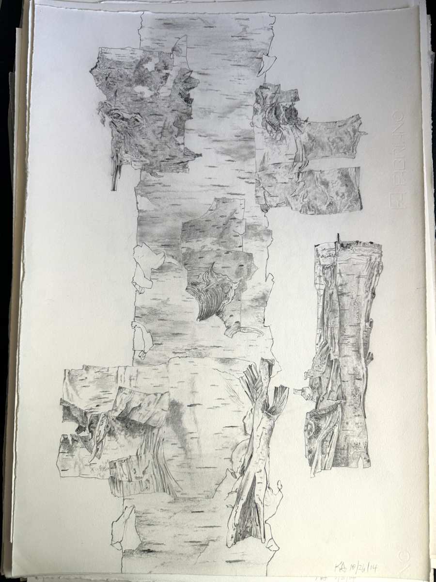 TREE MAPS #45 by Keith Achepohl, Image 1.