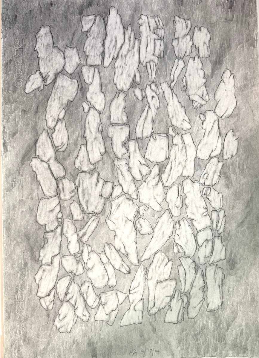 TREE MAPS #39 by Keith Achepohl, Image 1.