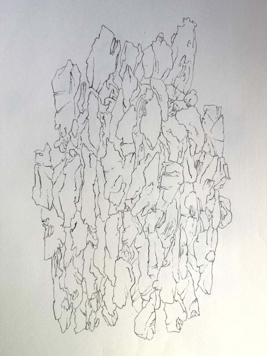 TREE MAPS #32 by Keith Achepohl, Image 1.