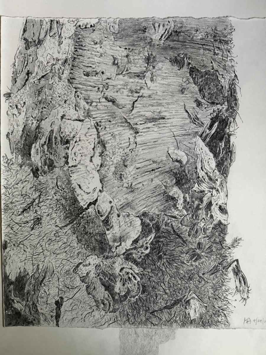 TREE MAPS #27 by Keith Achepohl, Image 1.