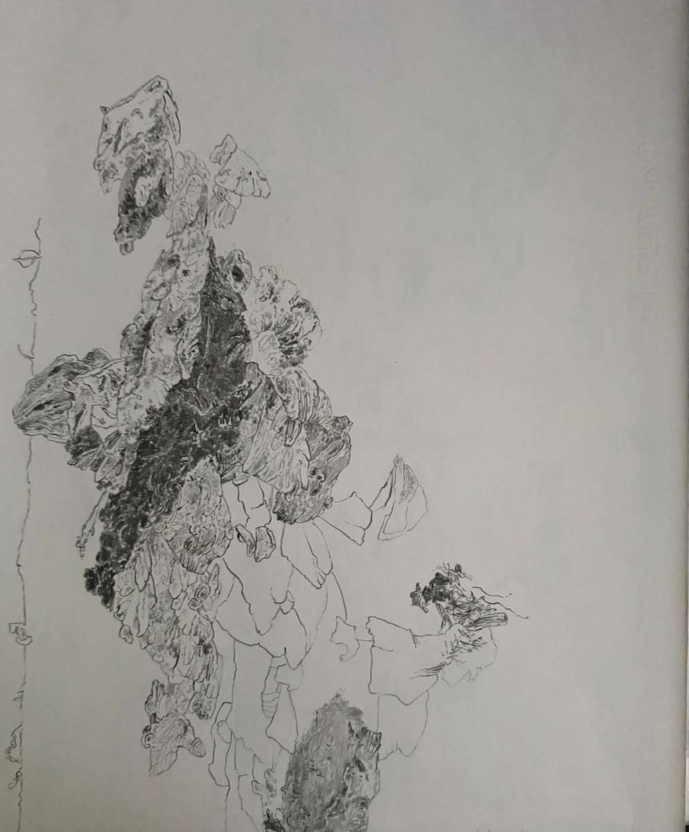 TREE MAPS #28 by Keith Achepohl, Image 1.