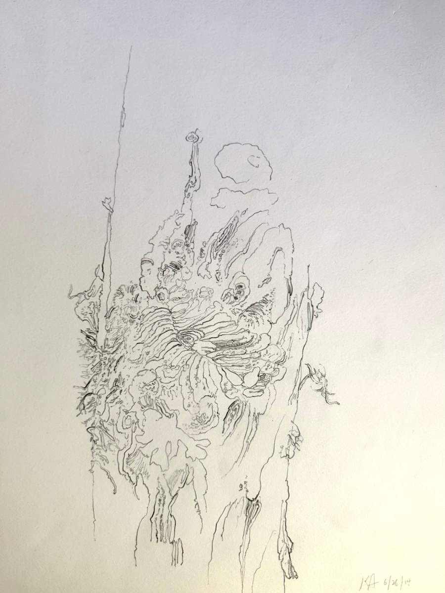 TREE MAPS by Keith Achepohl, Image 1.