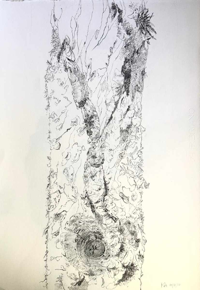 TREE MAPS #30 by Keith Achepohl, Image 1.