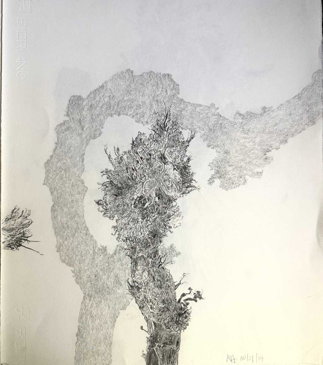 TREE MAPS #41 by Keith Achepohl, Image 1.