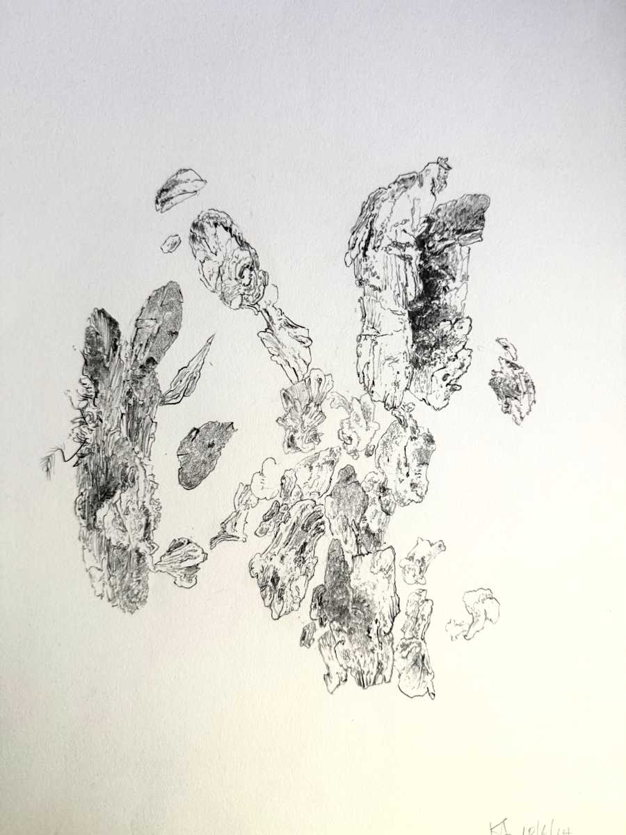 TREE MAPS #33 by Keith Achepohl, Image 1.
