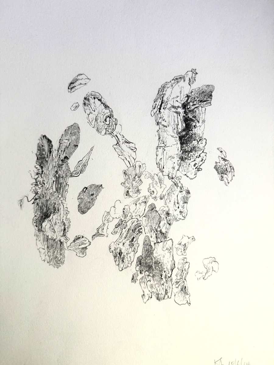 TREE MAPS #33 by Keith Achepohl, Image 1.