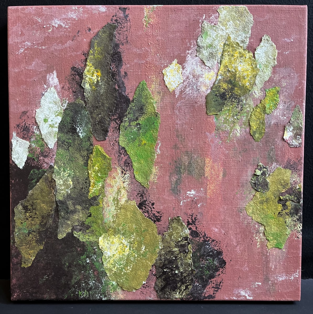 FOREST SEEN(s) by Keith Achepohl, Image 1.