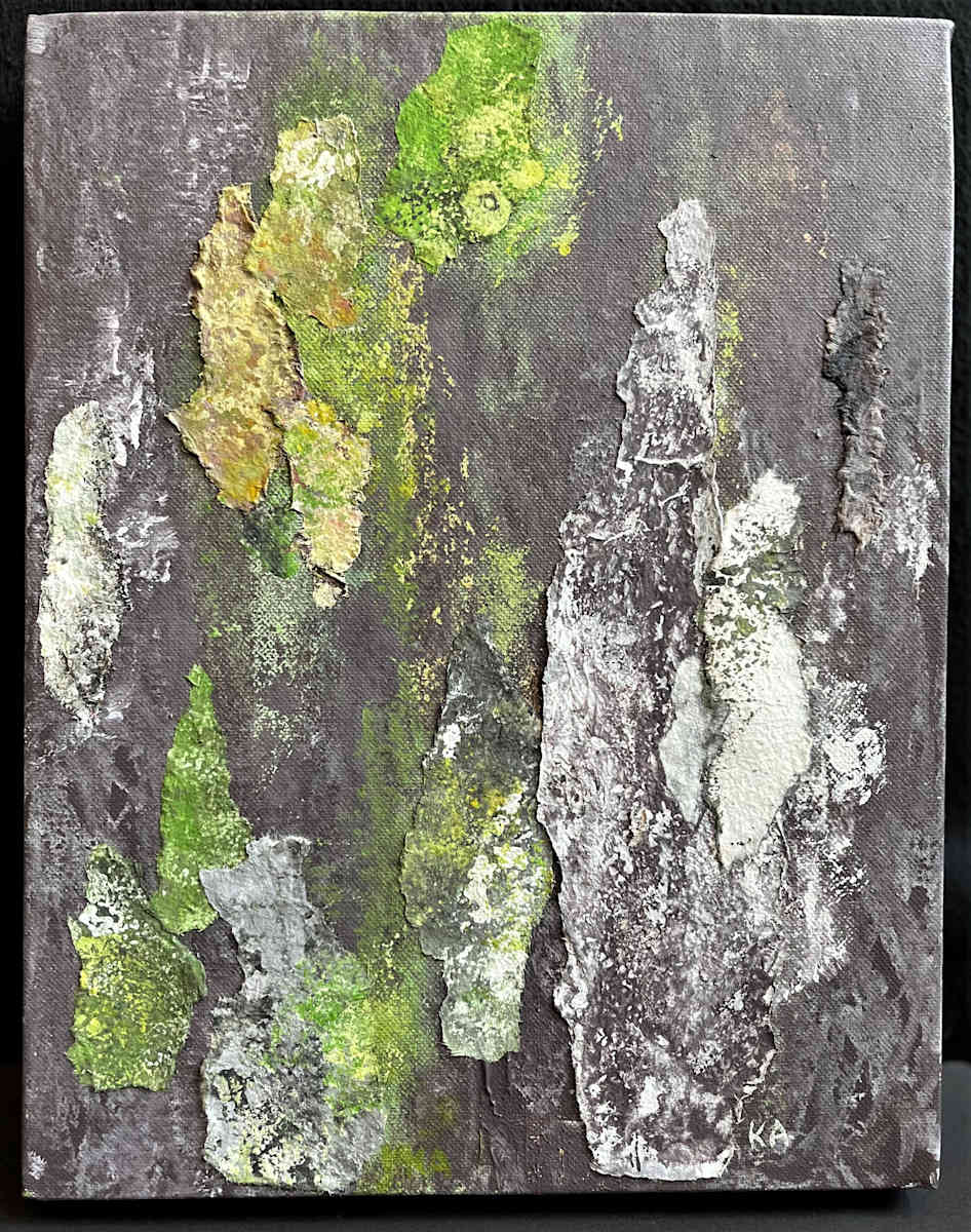 FOREST SEEN(S) by Keith Achepohl  Image: Forest Seen(s) 