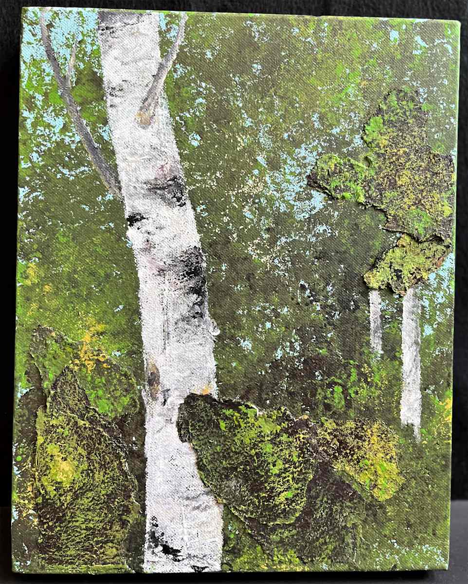 FOREST SEEN(s) by Keith Achepohl  Image: Forest Seen(s)