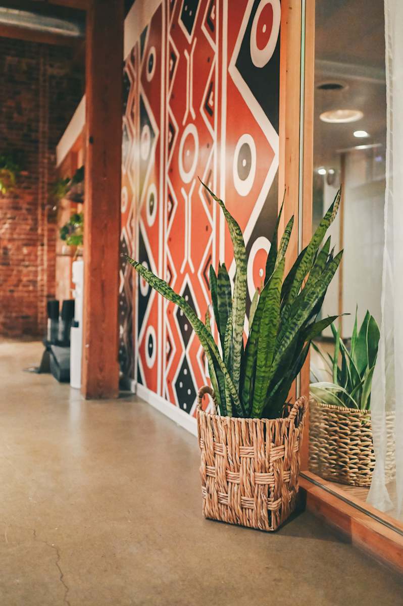 The Well Collective Mural by Jowarnise, Image 1.