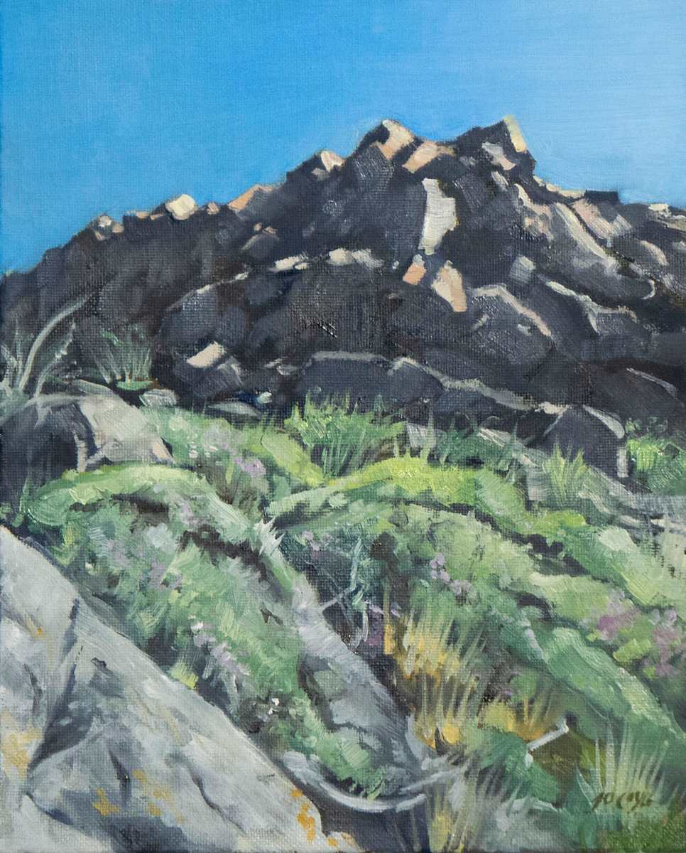 Too Cold for Rattlesnakes by Jo Coyle, Image 1.