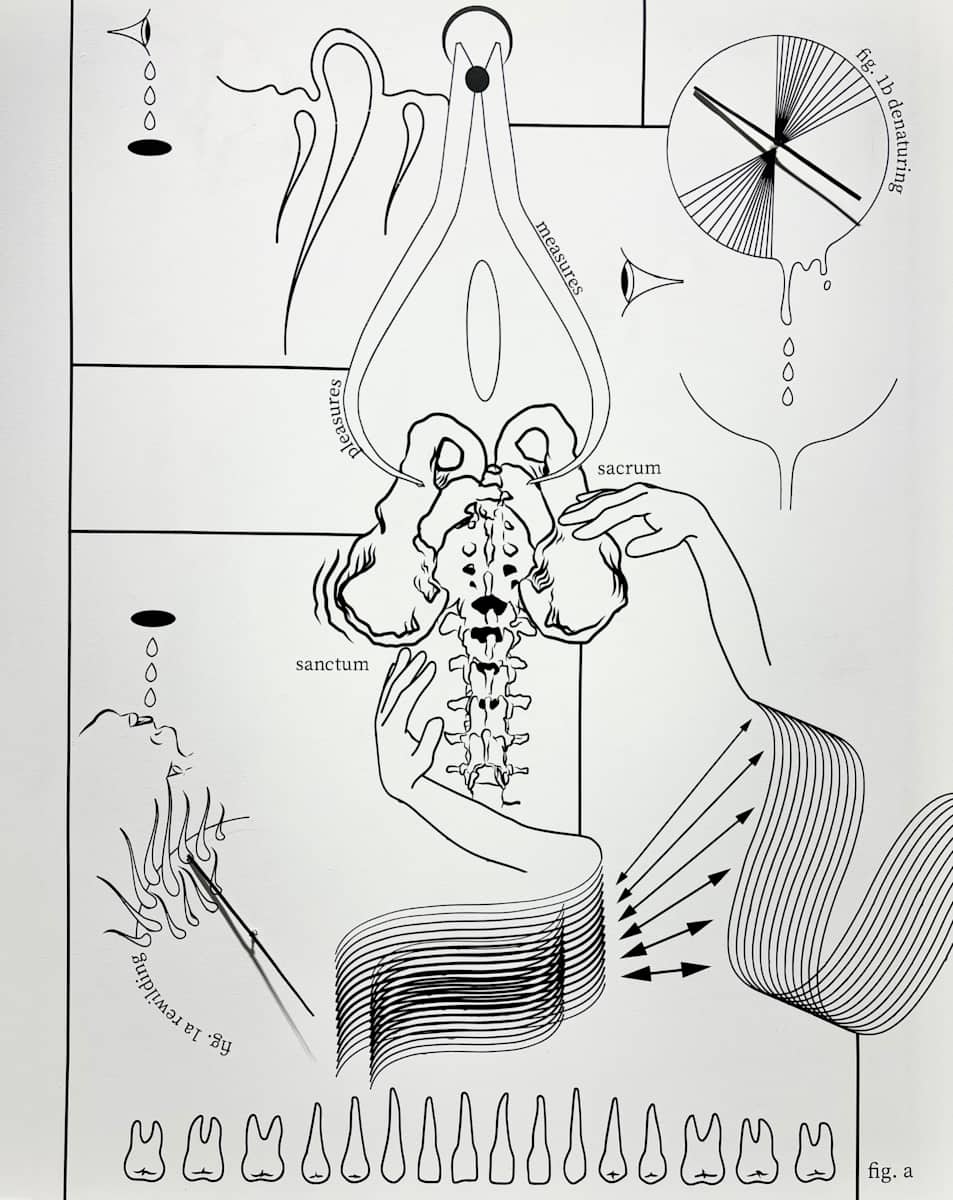 ‬ ‭ Re/Wilding/De/Naturing by Madyha J. Leghari, Image 1.