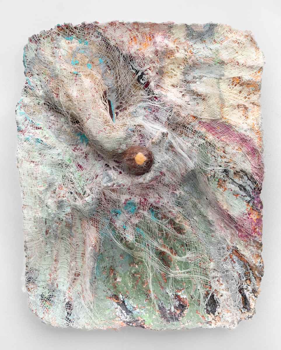 Birthday cake fossil, 2 by June Canedo de Souza 