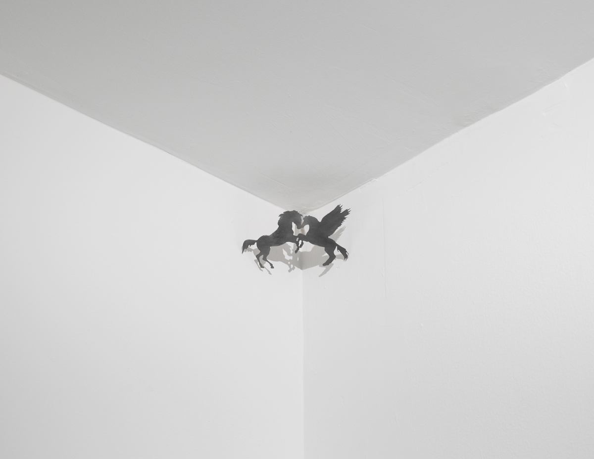 Exhibition Image