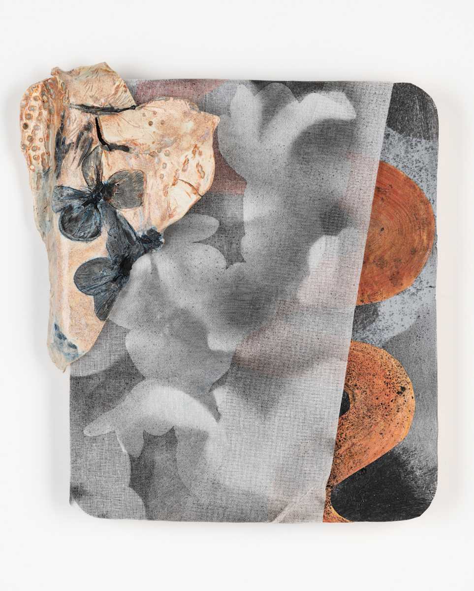 Good Night, Snake from the exhibition 2025 (catalog) Artwork
