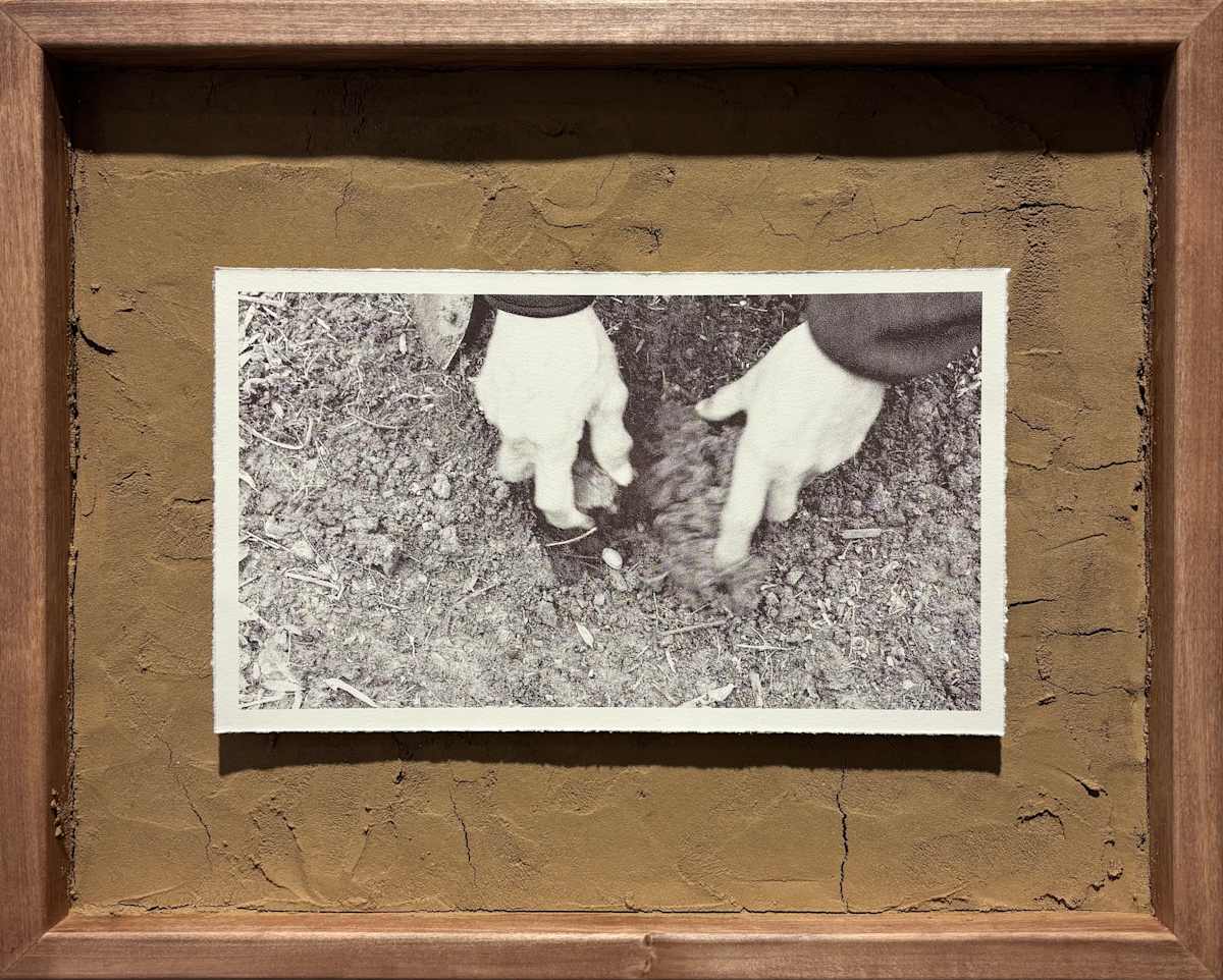 Take Care III by Nilou Kazemzadeh, Image 1.