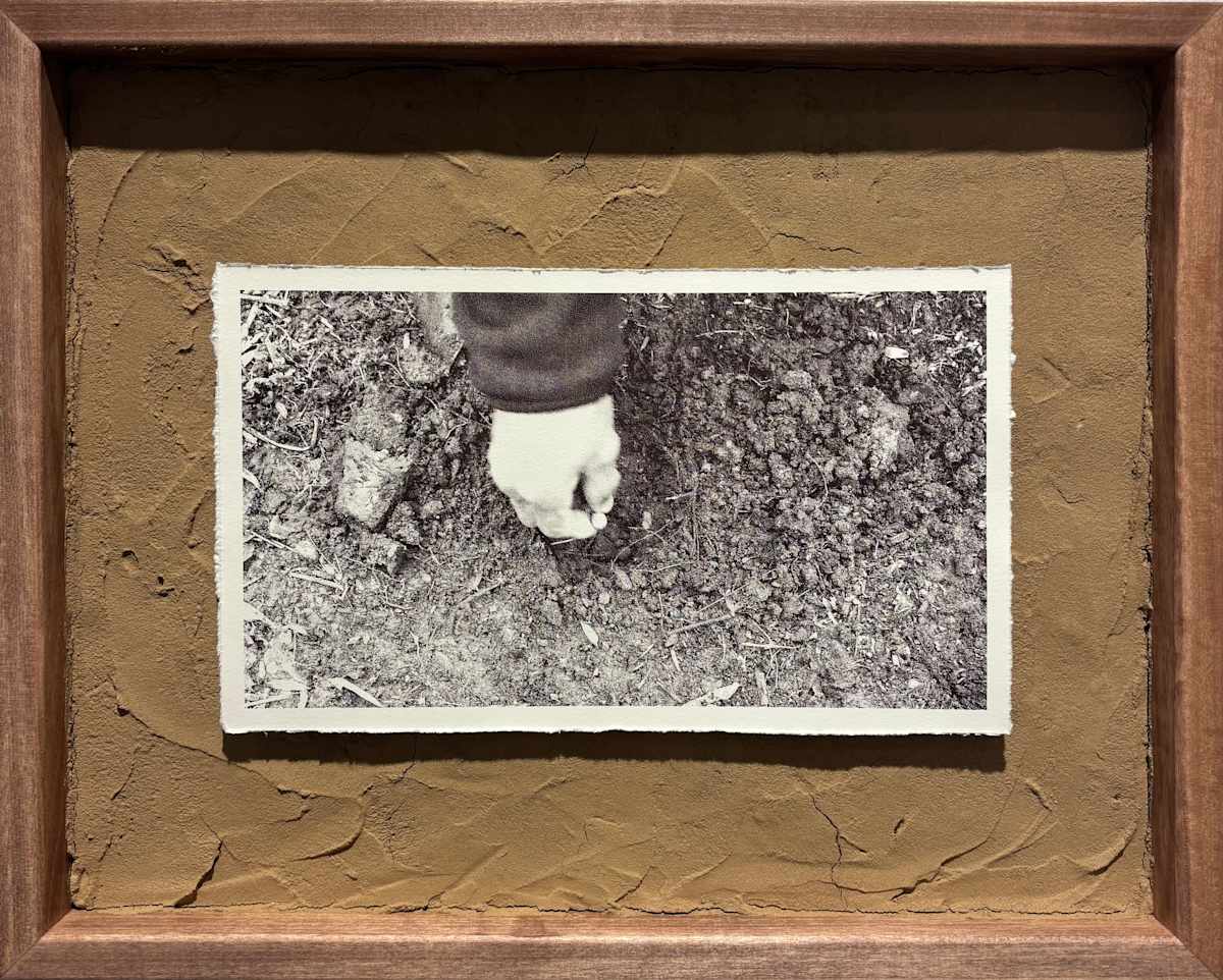 Take Care II by Nilou Kazemzadeh, Image 1.