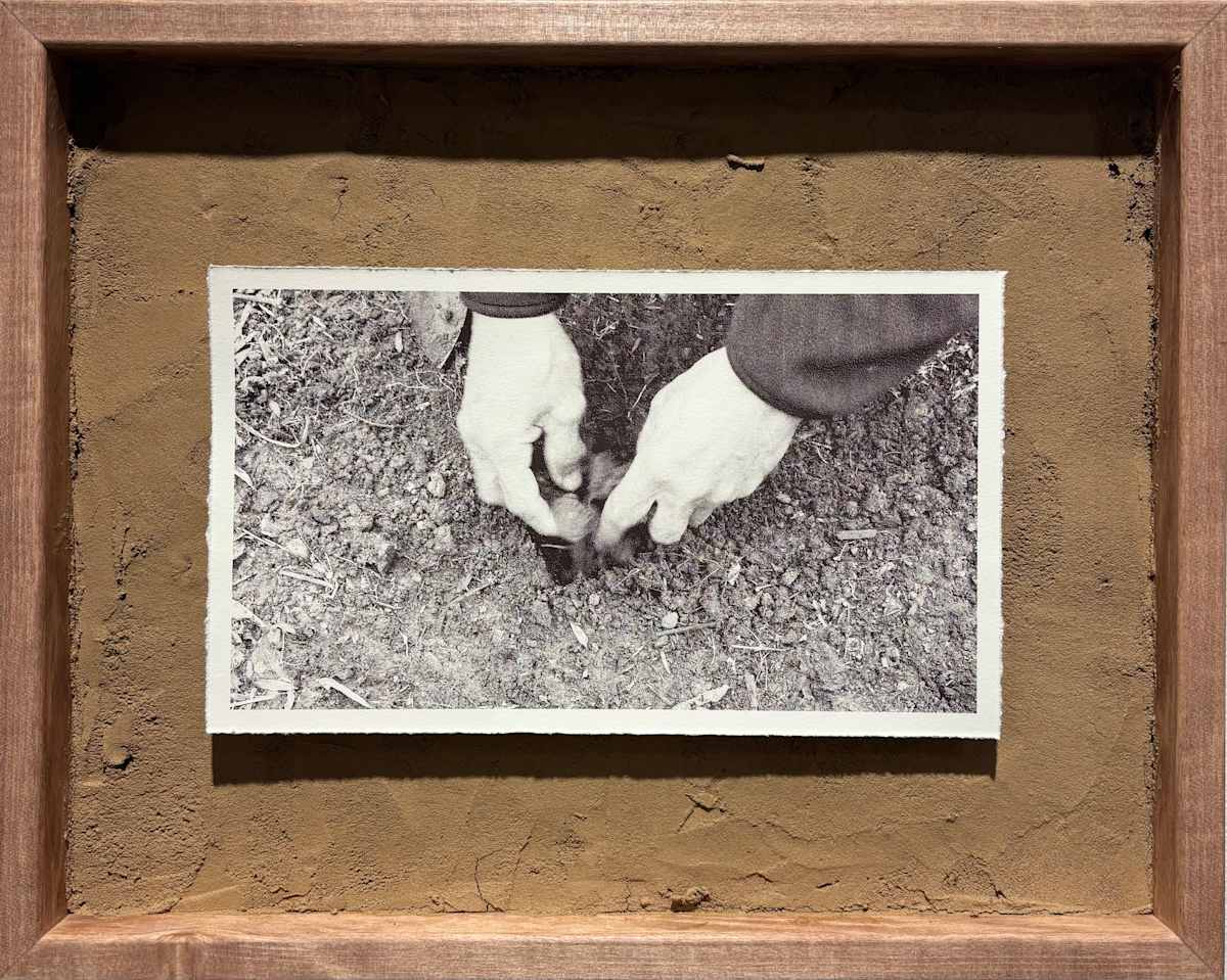 Take Care IV by Nilou Kazemzadeh, Image 1.
