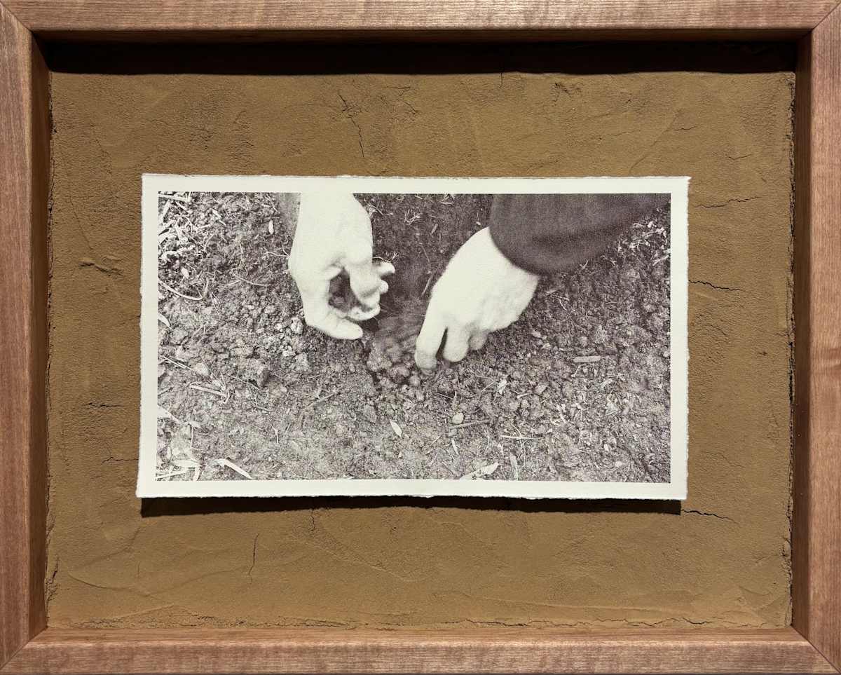 Take Care V by Nilou Kazemzadeh, Image 1.