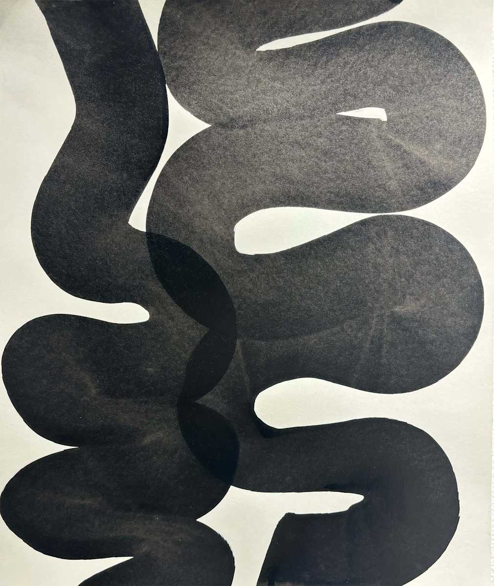 Two Strand Study II by Ashley Ja’nae, Image 1.