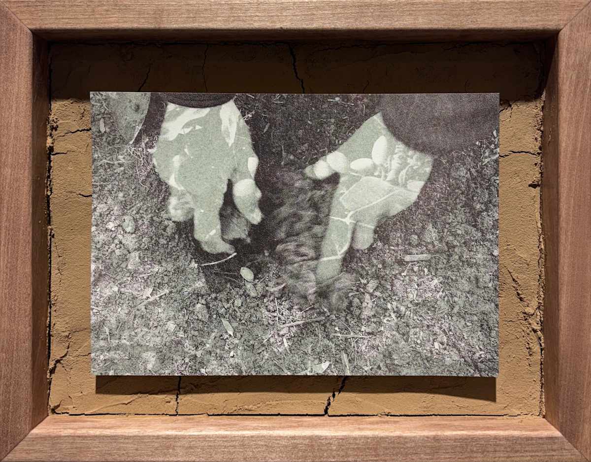 What is/What Could Be by Nilou Kazemzadeh, Image 1.