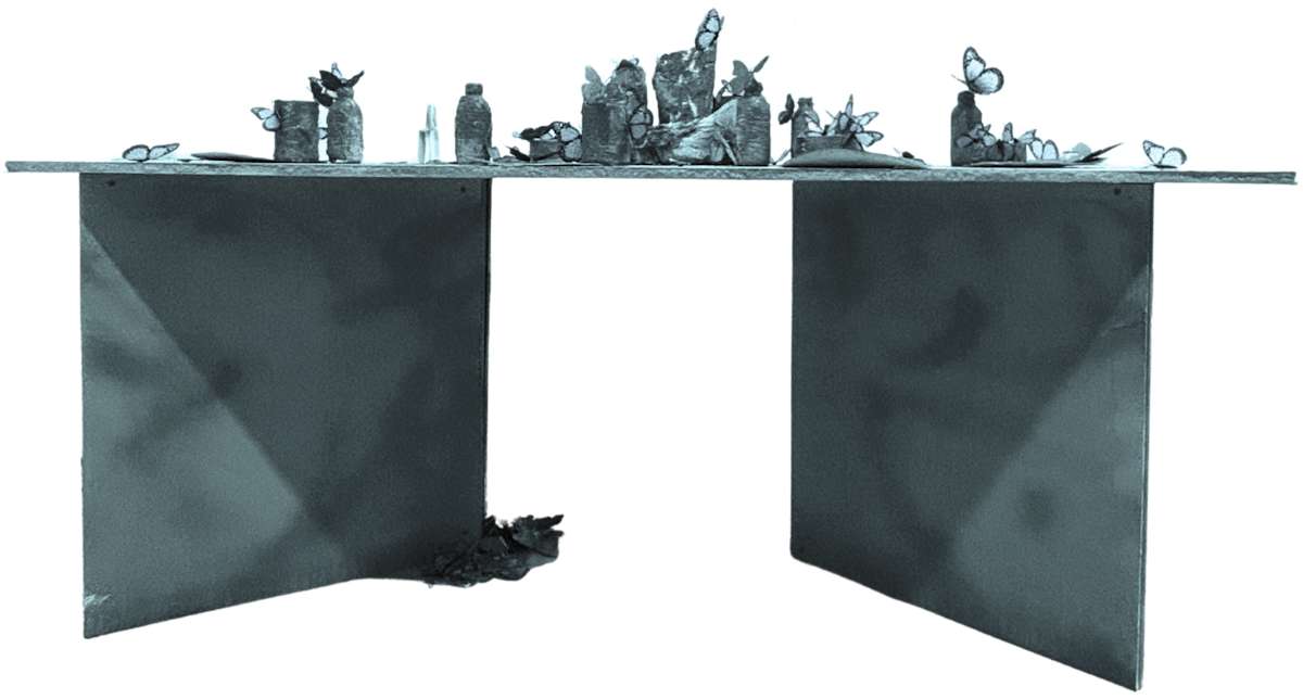 vanitas (table series) by Misha Ilin, Image 2.
