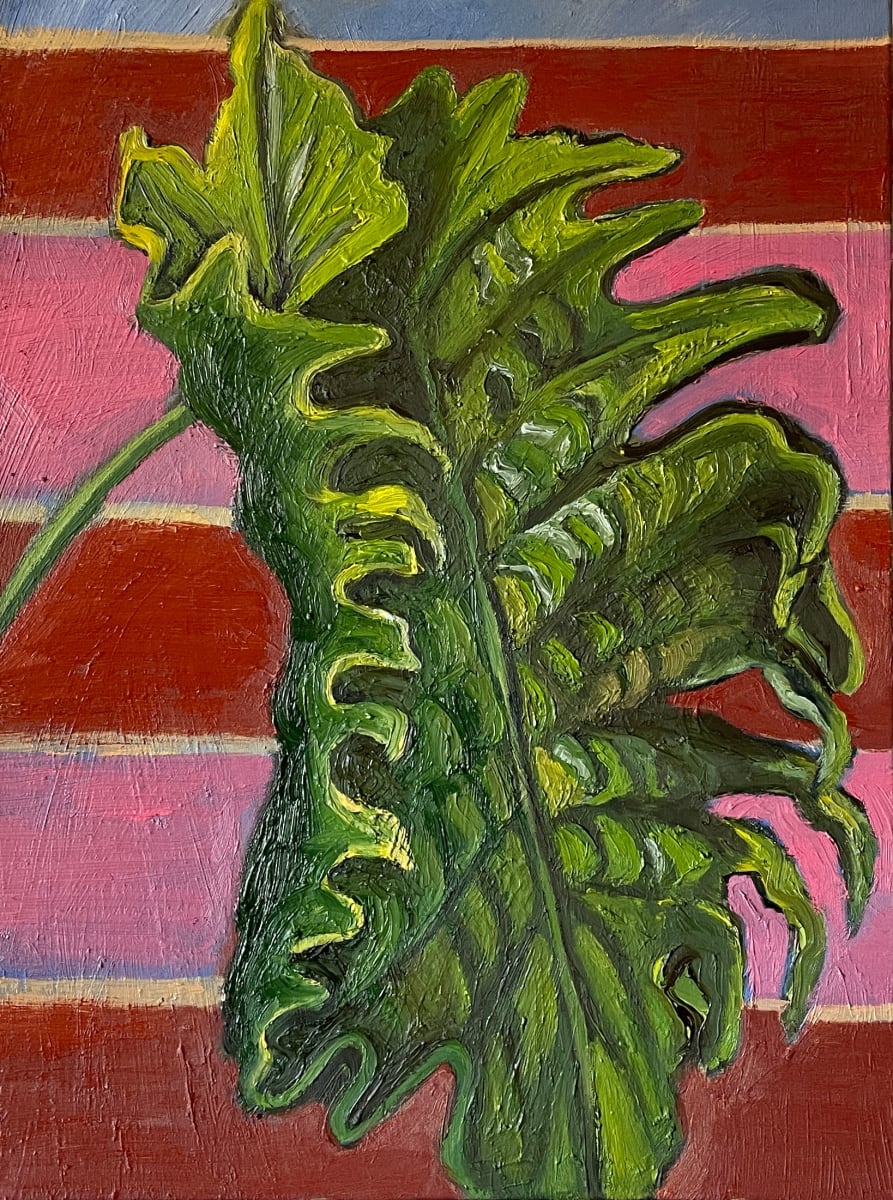 Philodendron by Nick Fyhrie 