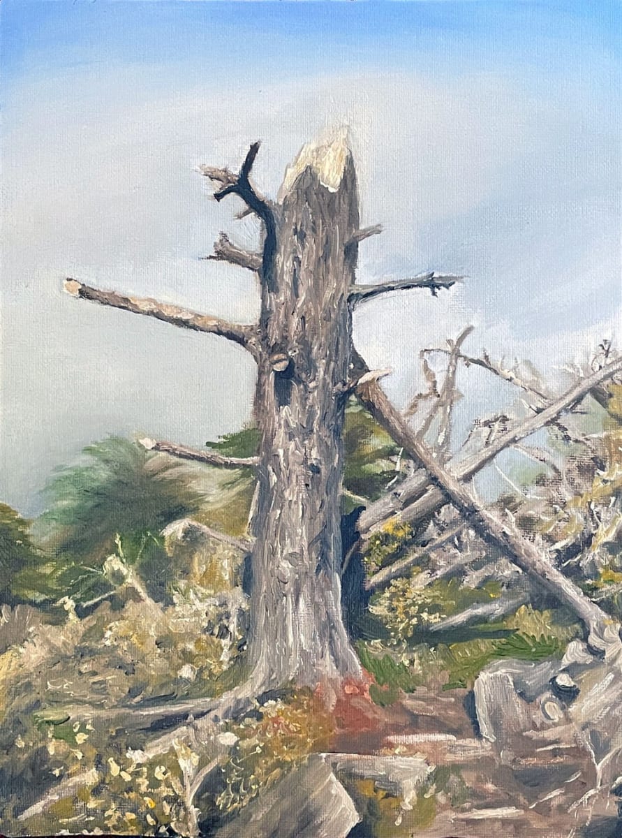 Broken Tree by Nick Fyhrie 