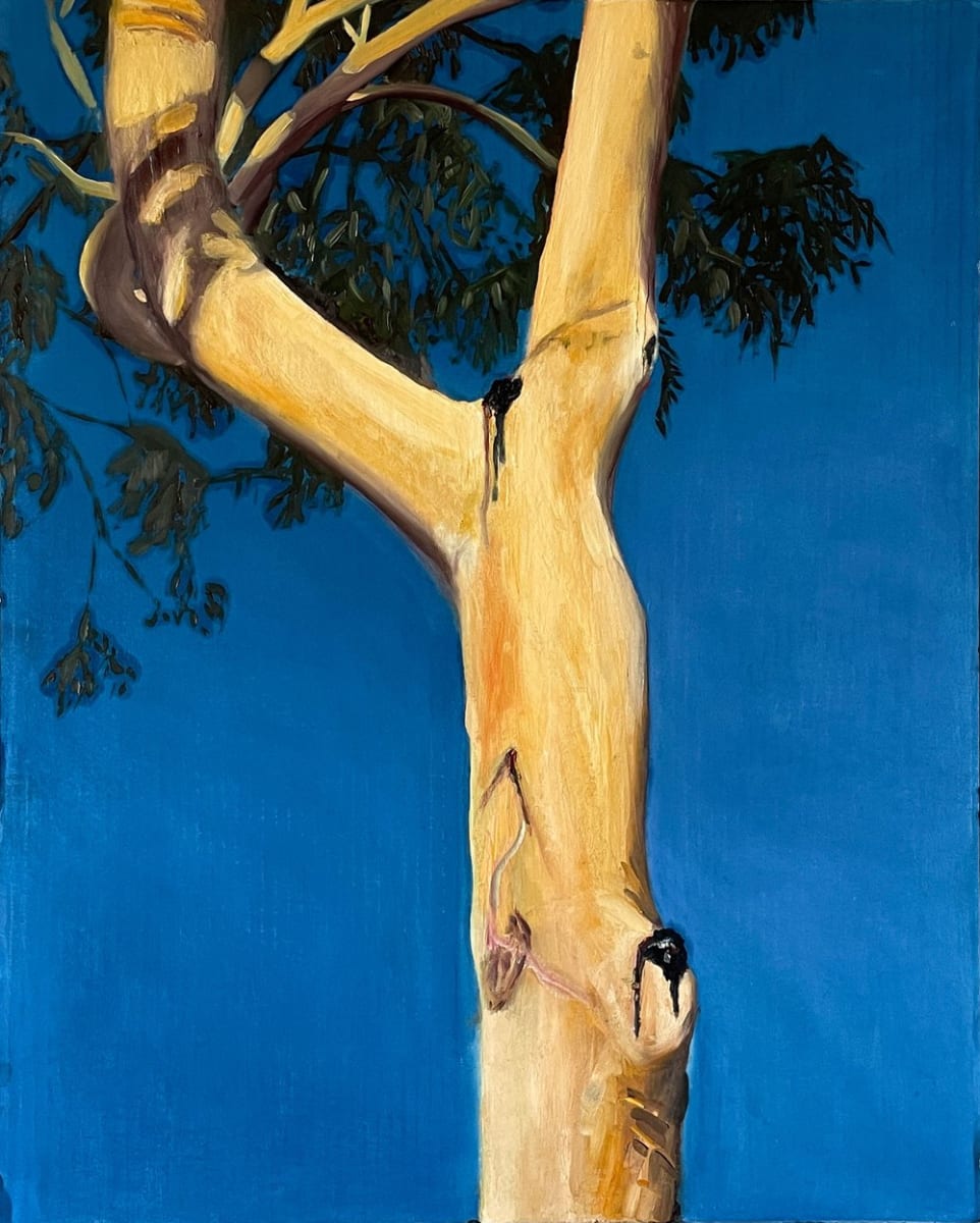 Eucalyptus IV by Nick Fyhrie 