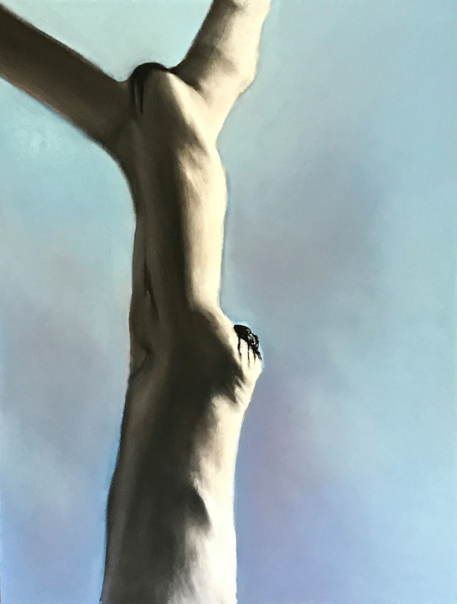 Eucalyptus Tree III by Nick Fyhrie 