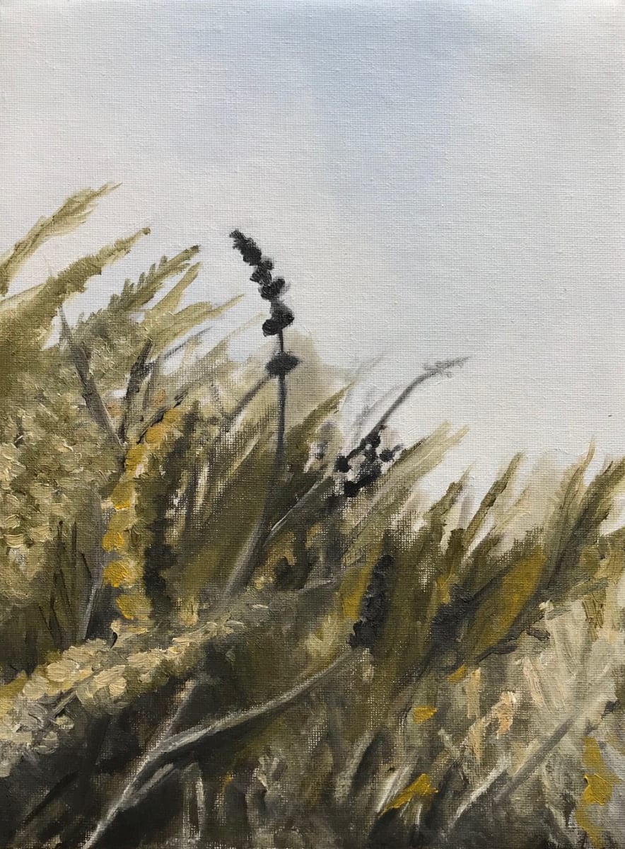 Field by Nick Fyhrie 