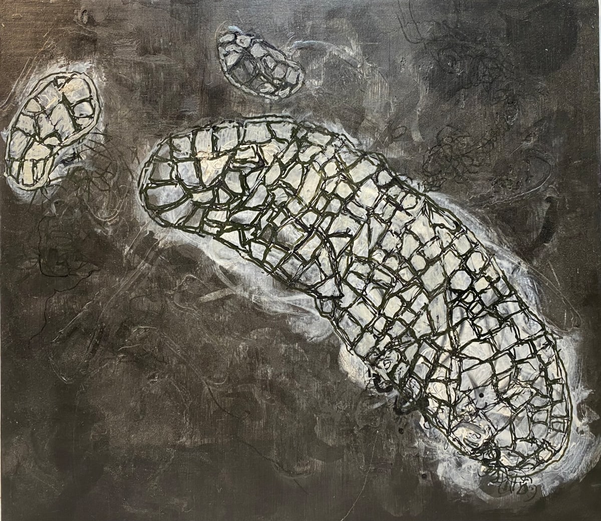 Mesh Cage Chronicle by Nero Studio 