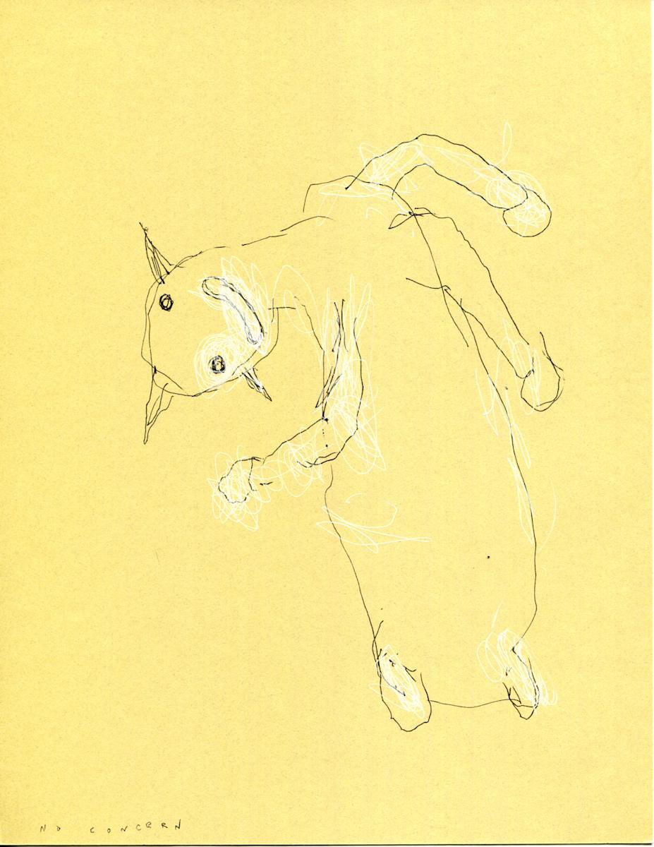 No Concern by Timothy Nero Studio 