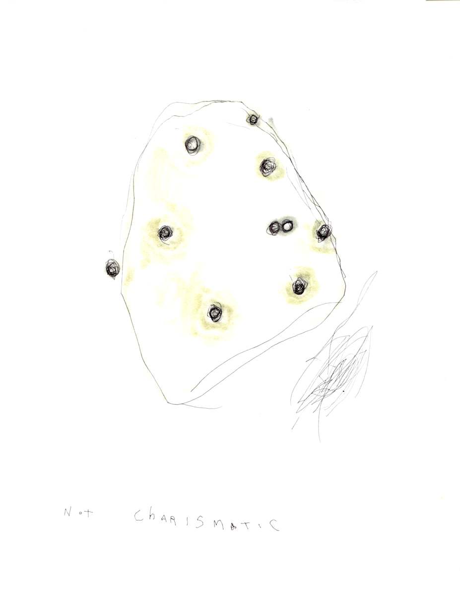 Not Charismatic by Timothy Nero Studio 