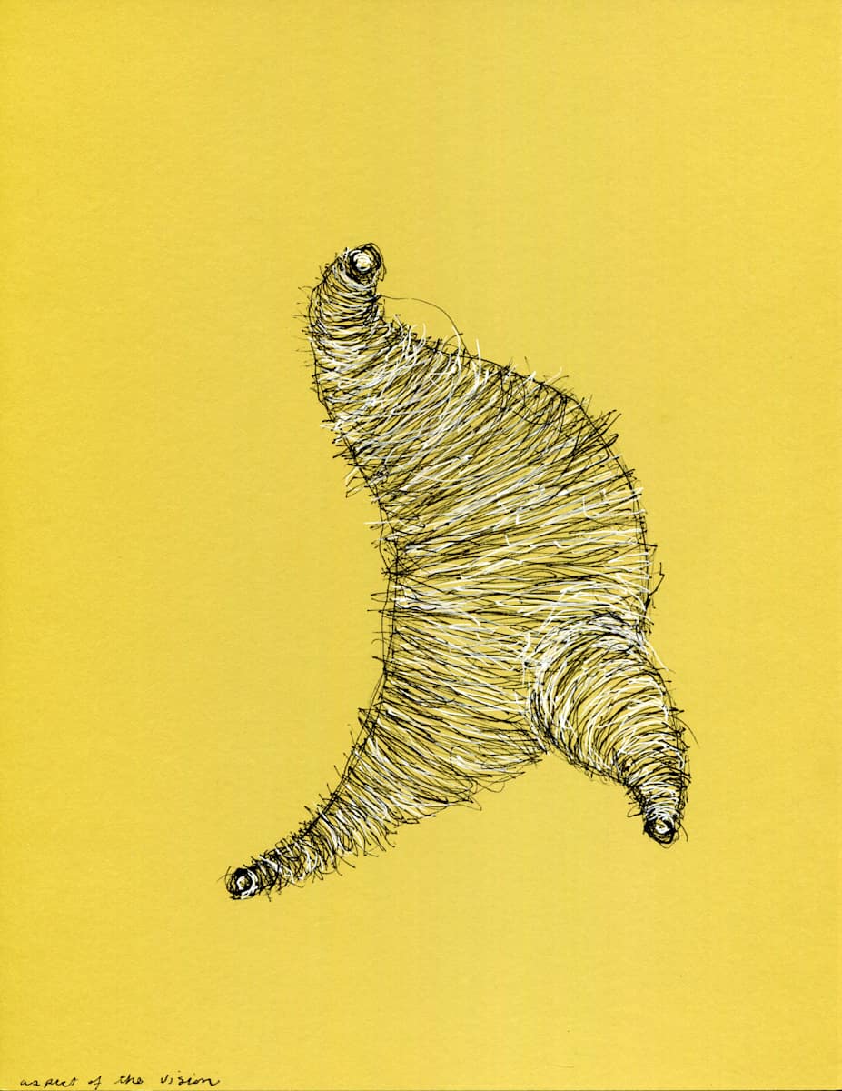 Aspect Of The Vision by Timothy Nero Studio 