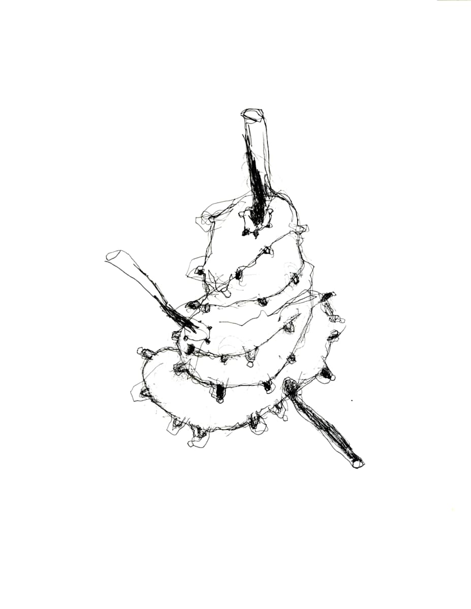 Spiked Blub by Timothy Nero Studio 