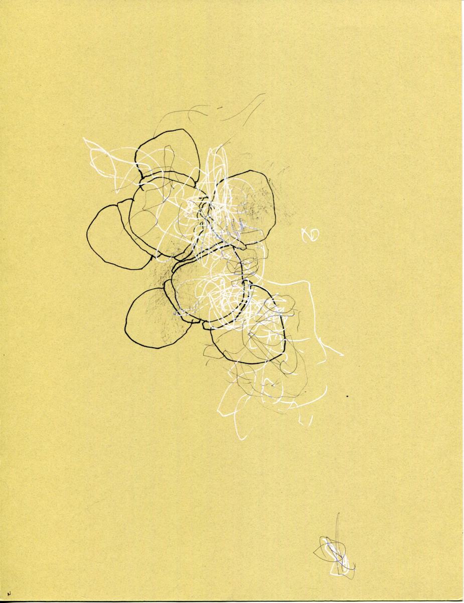 Thought Bundle.01 by Timothy Nero Studio, Image 1.