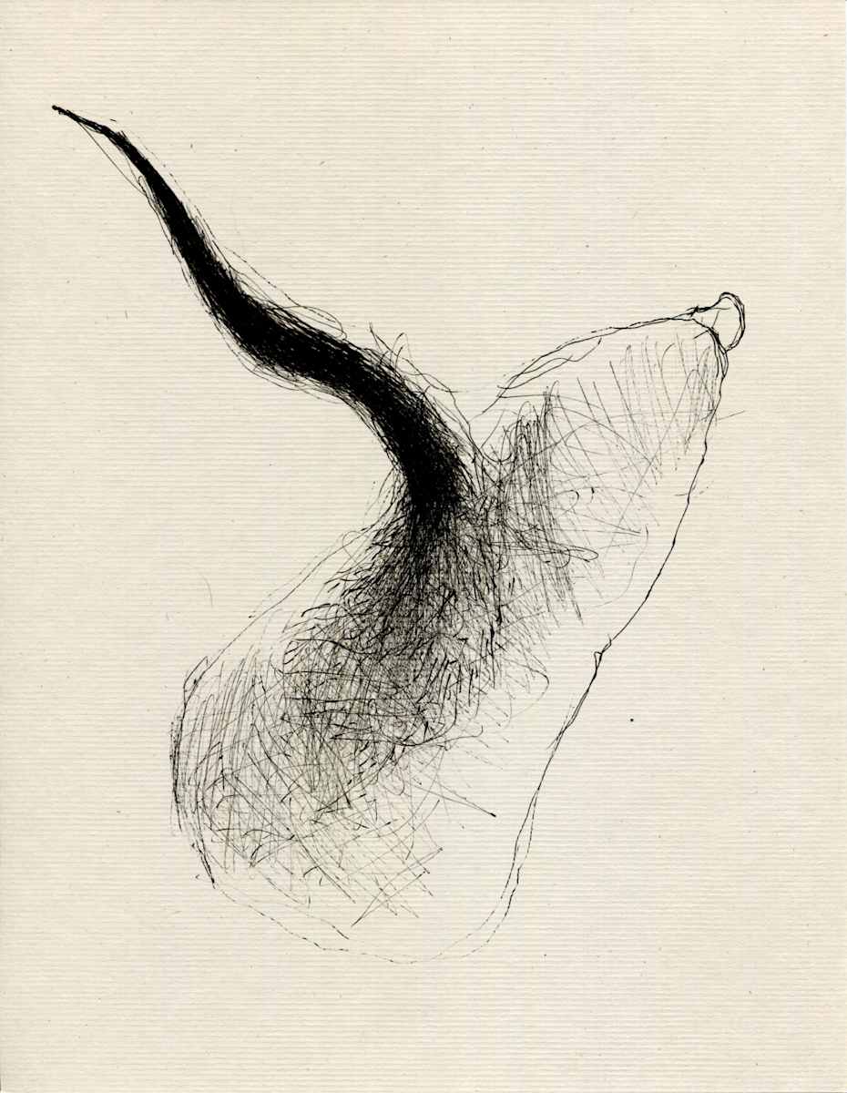 Dreadful Shape Vague Form.02 by Timothy Nero Studio, Image 1.