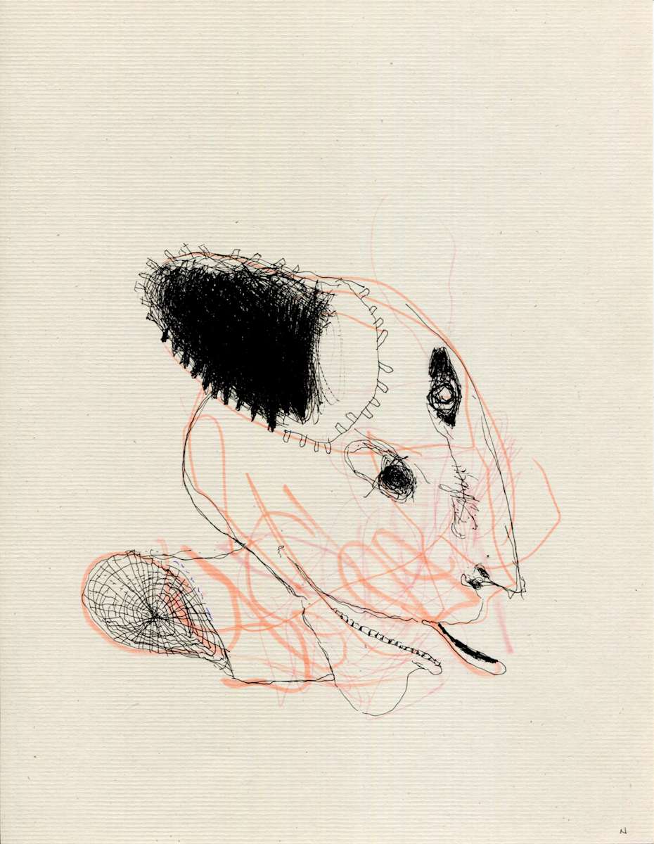 Gear Head by Timothy Nero Studio, Image 1.