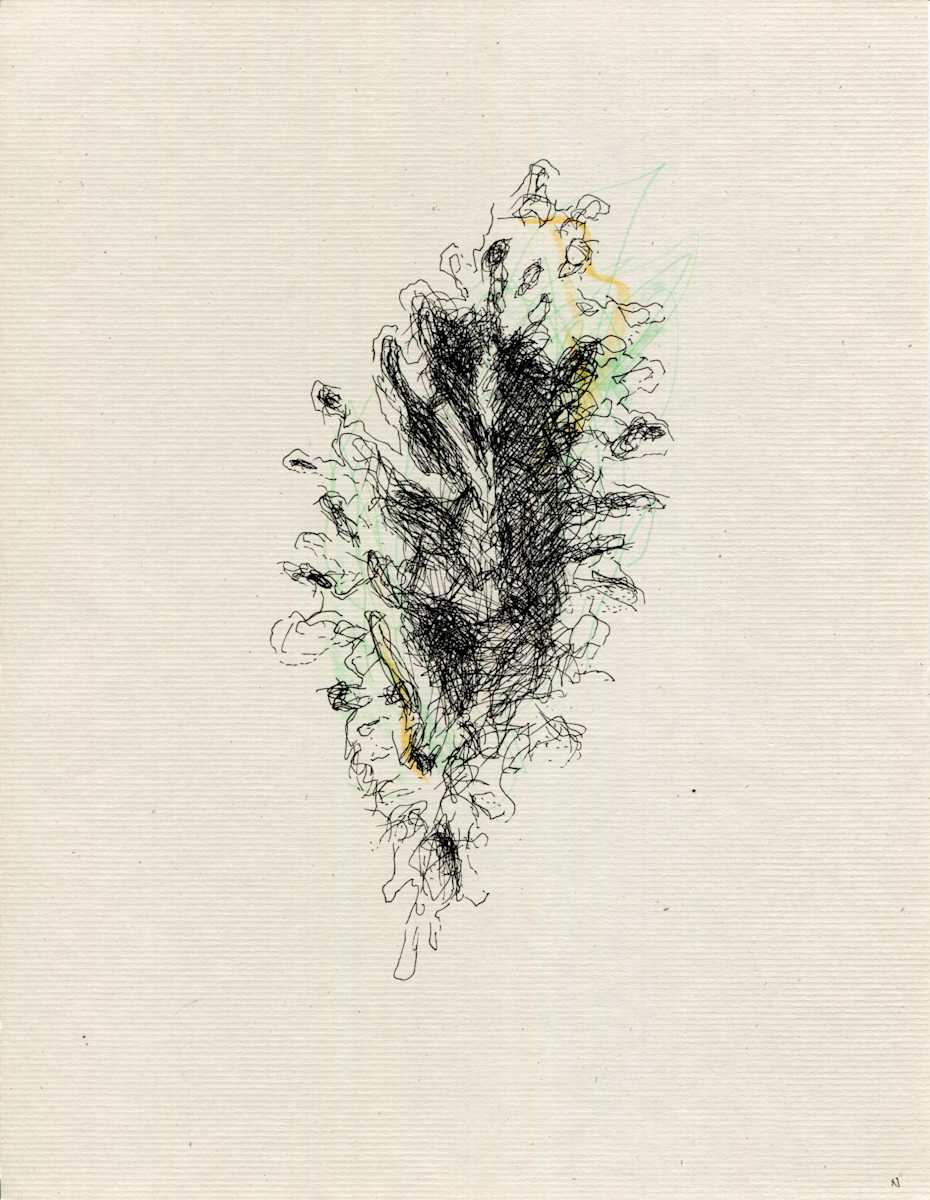 Mind In The Wild by Timothy Nero Studio, Image 1.