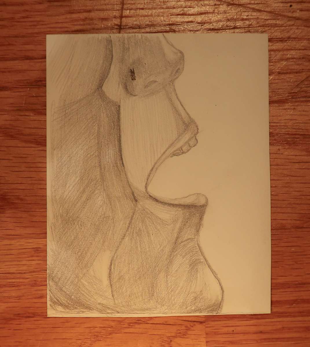 Miniatures | Study in Faces 1 (sketch) by Meli and Rose, Image 1.
