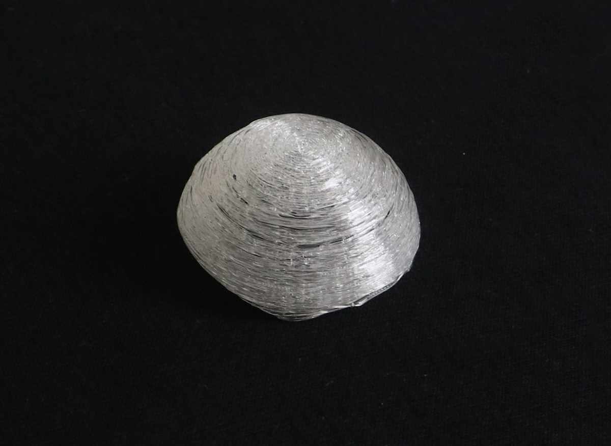 Dome, Image 12.