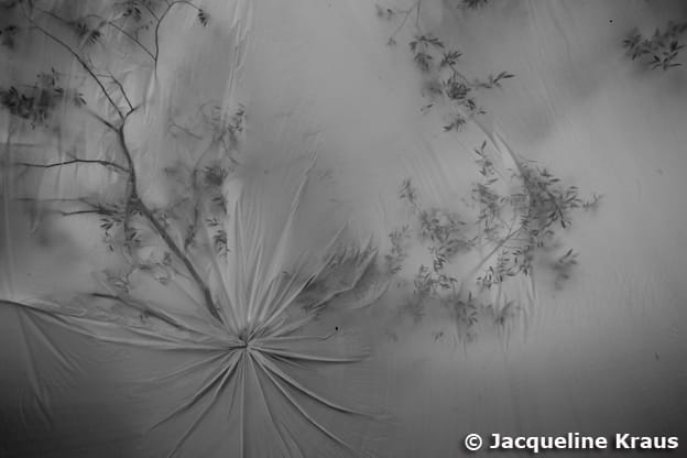 Untitled, Image 1.