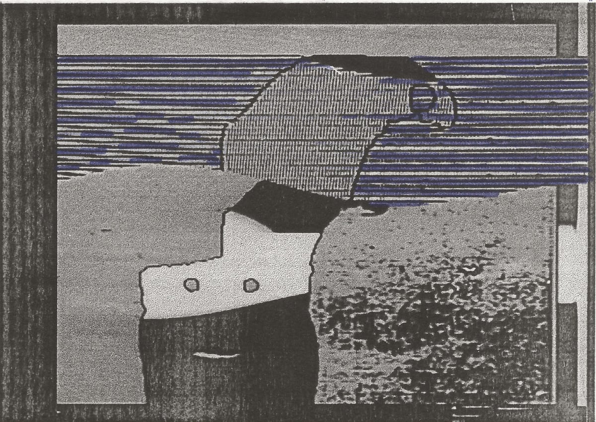 fool, edition image.